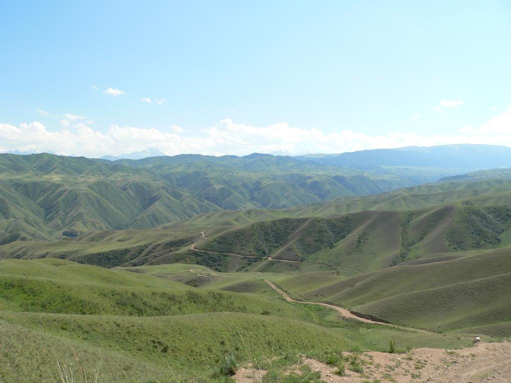 Фото пользователя Дядя Изя