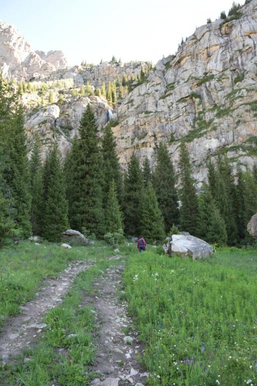 Фото пользователя Iceman